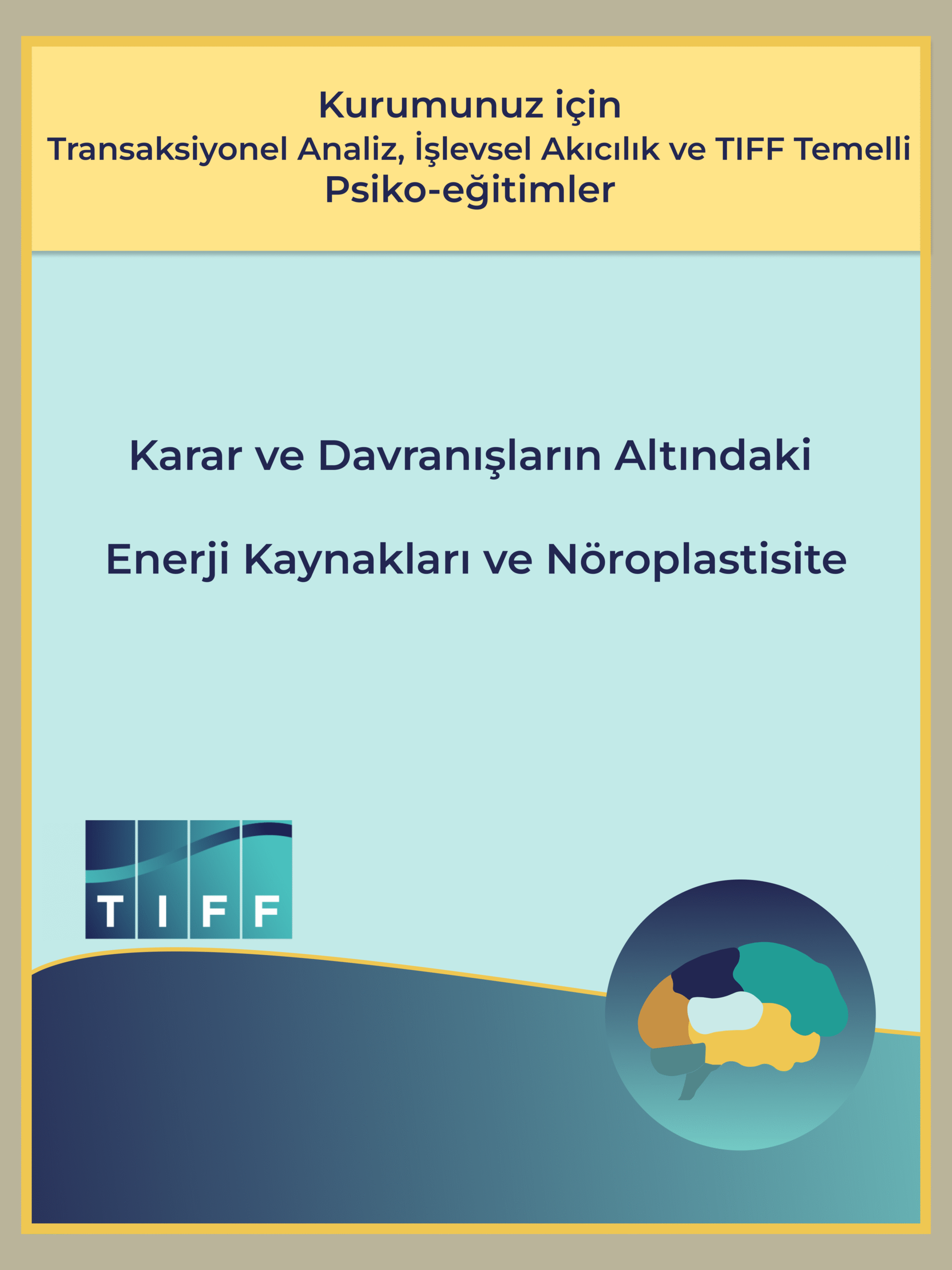 Karar ve Davranışların Altındaki Enerji Kaynakları ve Nöroplastisite